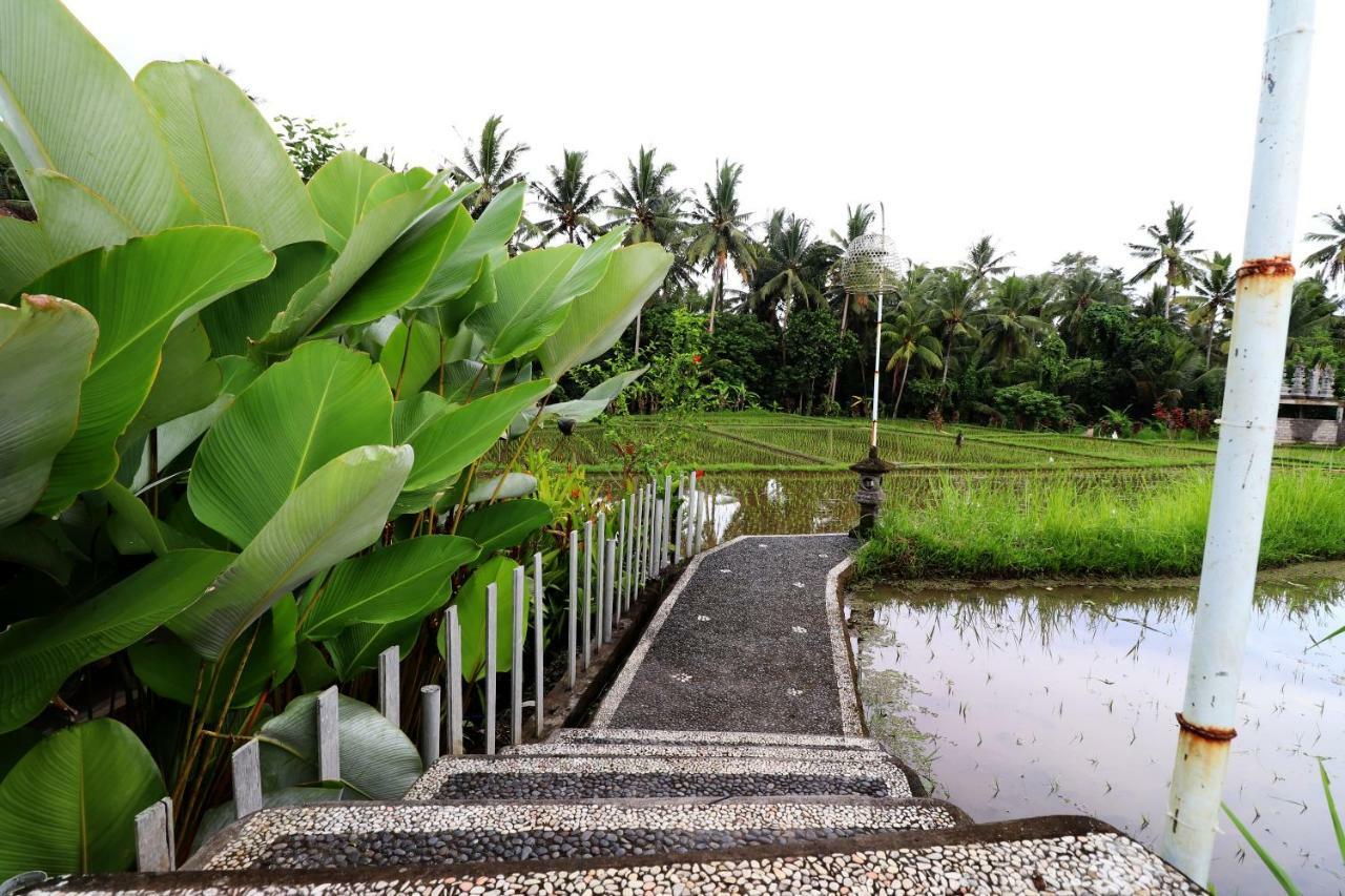 Villa Tirta Padi 2 Ubud 外观 照片